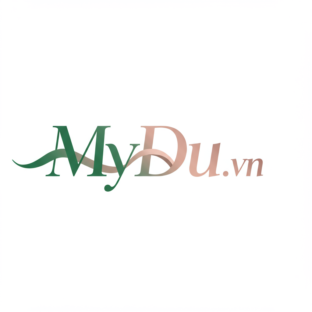 Đầm đen tối giản đa dụng từ MyDu Essentiels